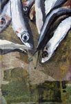 sardines_collage